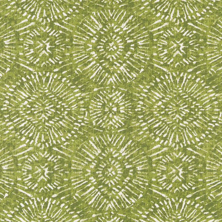 D2498 Lime by Charlotte Fabric Patio Prints 100% Polyester Made In USA Exceeds 60,000 Wyzenbeek Rubs (Heavy Duty) </p><p>Repeat: Horizontal 13.5" x Vertical 12.5" 54 Inches - Fabric Carolina -