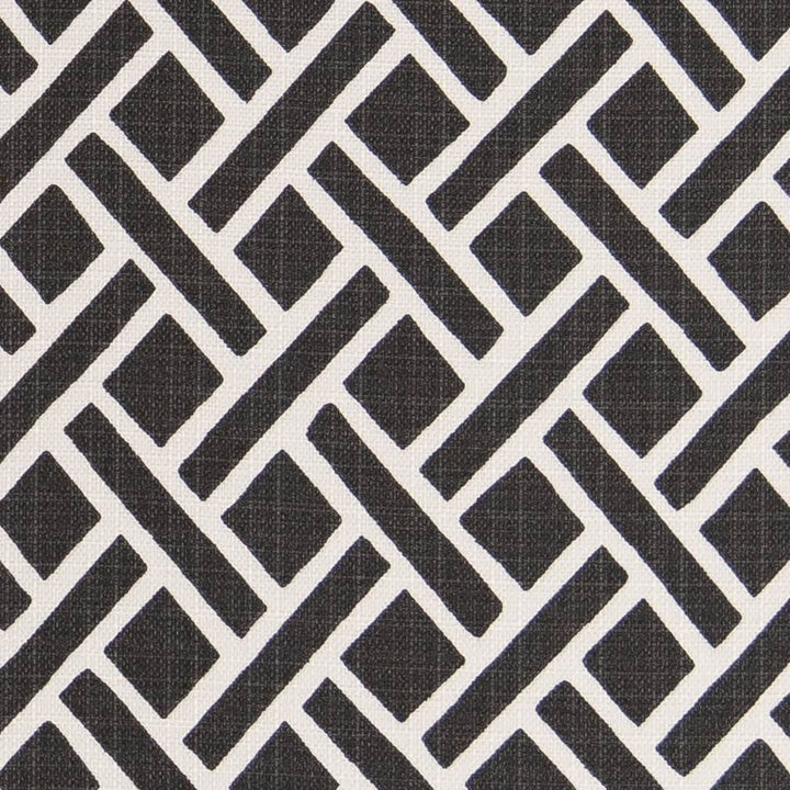 D2502 Ebony by Charlotte Fabric Patio Prints 100% Polyester Made In USA Exceeds 60,000 Wyzenbeek Rubs (Heavy Duty) </p><p>Repeat: Horizontal 3" x Vertical 3.5" 54 Inches - Fabric Carolina -