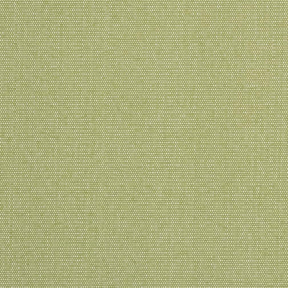 D2521 Pear by Charlotte Fabric Veranda 100% Polypropylene USA Exceeds 60,000 Wyzenbeek Rubs </p><p>Repeat: 54 Inches - Fabric Carolina -