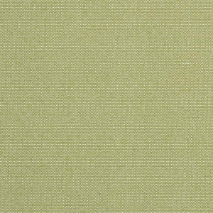 D2521 Pear by Charlotte Fabric