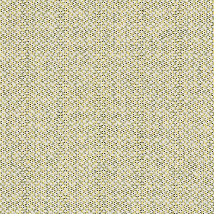 D2532 Spring by Charlotte Fabric Veranda 100% Polypropylene Made In USA Exceeds 60,000 Wyzenbeek Rubs </p><p>Repeat: No Repeat 54 Inches - Fabric Carolina -