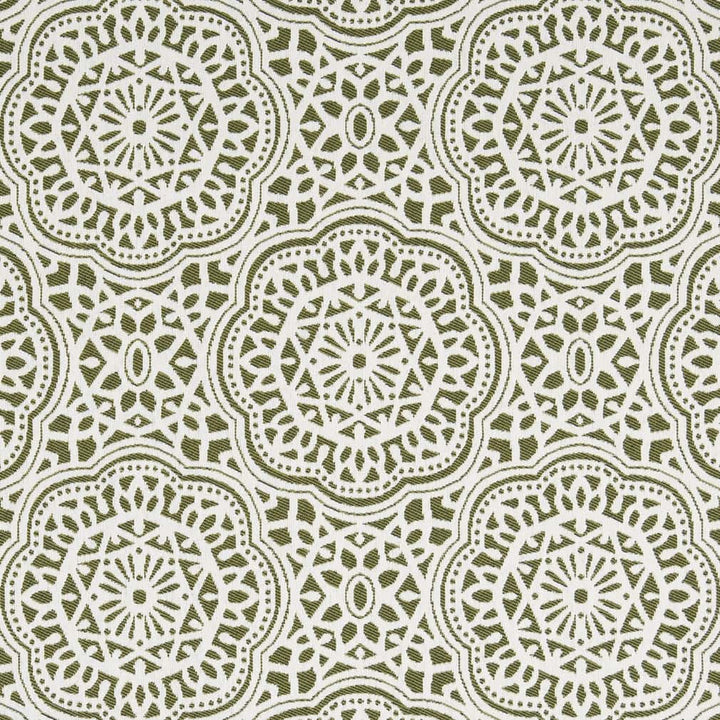 D2547 Fern by Charlotte Fabric Veranda 100% Polypropylene USA Exceeds 60,000 Wyzenbeek Rubs </p><p>Repeat: Horizontal 13" x Vertical 14" 54 Inches - Fabric Carolina -
