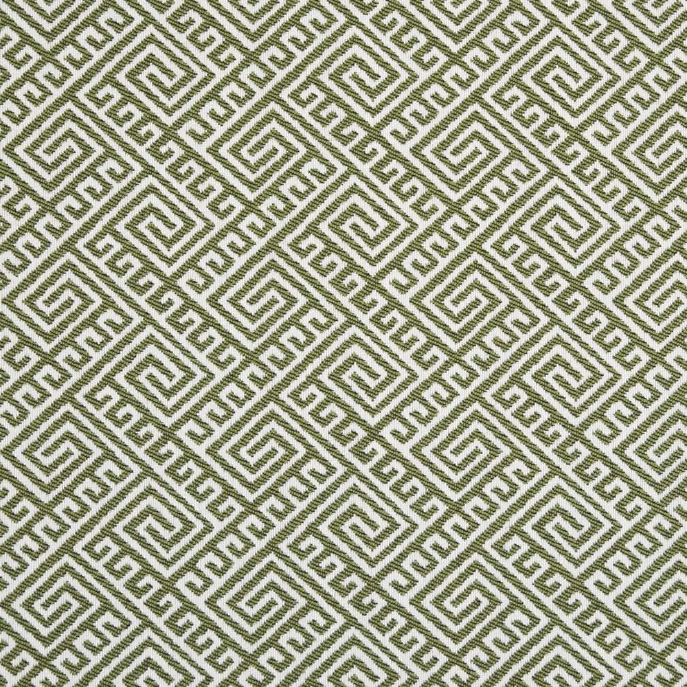 D2553 Lime by Charlotte Fabric Veranda 100% Polypropylene USA Exceeds 60,000 Wyzenbeek Rubs </p><p>Repeat: Horizontal 4.5" x Vertical 3.5" 54 Inches - Fabric Carolina -
