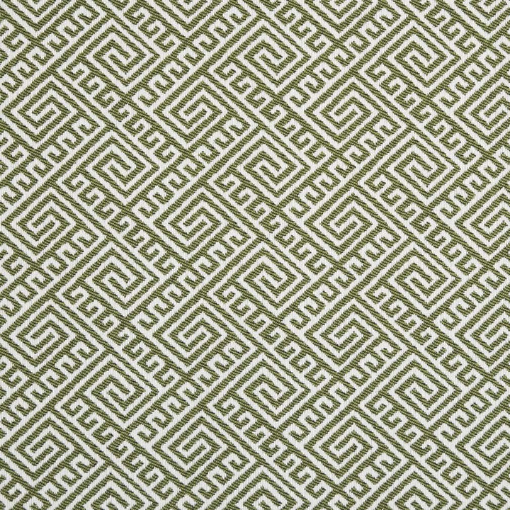 D2553 Lime by Charlotte Fabric Veranda 100% Polypropylene USA Exceeds 60,000 Wyzenbeek Rubs </p><p>Repeat: Horizontal 4.5" x Vertical 3.5" 54 Inches - Fabric Carolina -