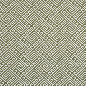 D2553 Lime by Charlotte Fabric