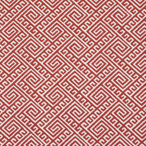 D2555 Watermelon by Charlotte Fabric