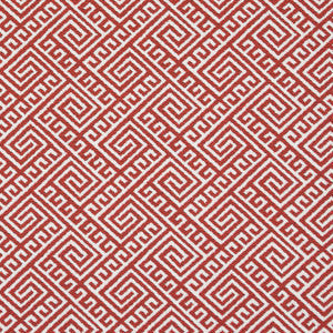 D2555 Watermelon by Charlotte Fabric