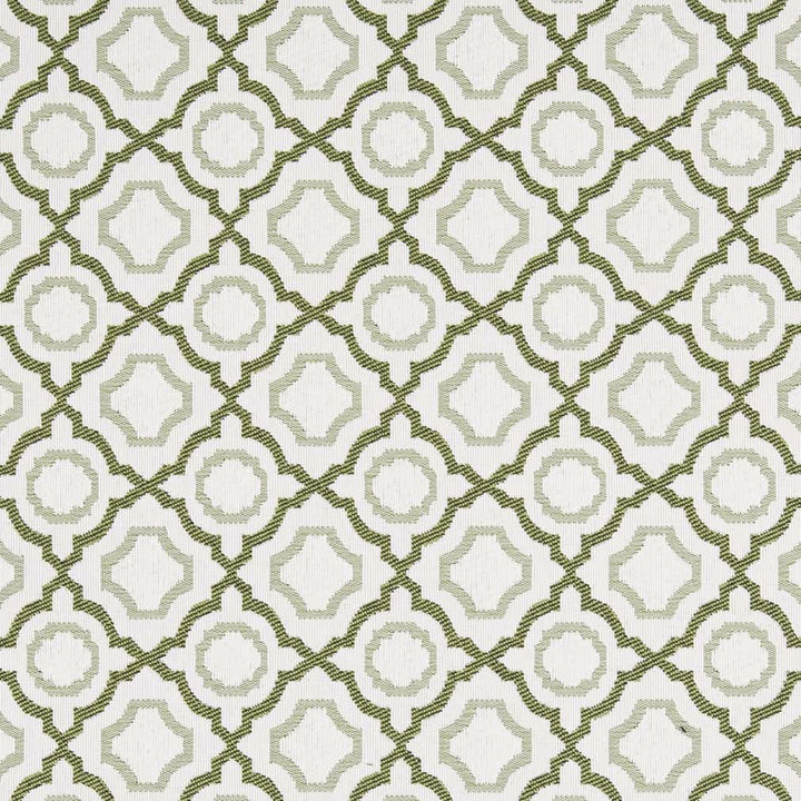 D2559 Avocado by Charlotte Fabric Veranda 100% Polypropylene Made In USA Exceeds 60,000 Wyzenbeek Rubs </p><p>Repeat: Horizontal 3.5" x Vertical 3.5" 54 Inches - Fabric Carolina -
