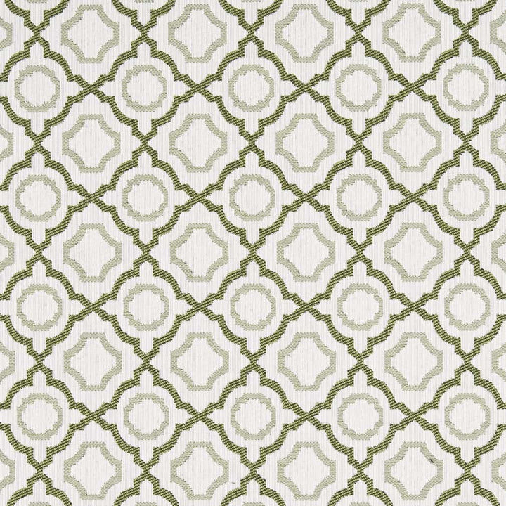 D2559 Avocado by Charlotte Designer Fabric Veranda 100% Polypropylene USA Exceeds 60,000 Wyzenbeek Rubs </p><p>Repeat: Horizontal 3.5" x Vertical 3.5" 54 Inches - Swanky Fabrics -