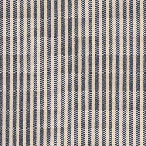 D2588 Ticking Navy by Charlotte Fabric