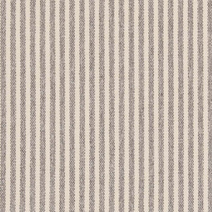 D2591 Ticking Pewter by Charlotte Fabric