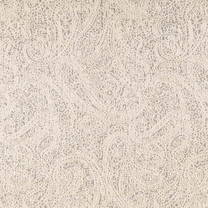 D2596 Paisley Pewter by Charlotte Fabric