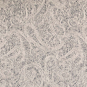 D2597 Paisley Navy by Charlotte Fabric