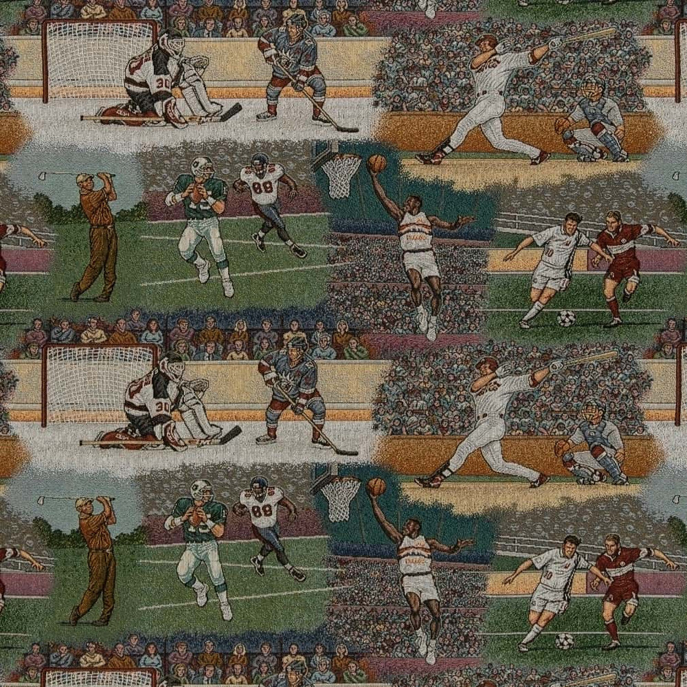D2681 Sports by Charlotte Fabric Novelty Tapestry 62% Cotton, 38% Polyester Made In USA Exceeds 100,000 Wyzenbeek Rubs </p><p>Repeat: Horizontal 29" x Vertical 14" 54 Inches - Fabric Carolina -