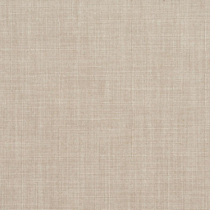 D277 Beach by Charlotte Designer Fabric Lifestyle Linens 90% Polyester, 10% Linen Asia Exceeds 48,000 Wyzenbeek Rubs (Heavy Duty) No Repeat 54 Inches - Swanky Fabrics -