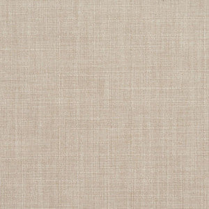 D277 Beach by Charlotte Fabric