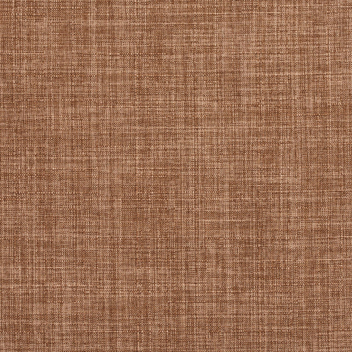 D278 Latte by Charlotte Fabric Lifestyle Linens 90% Polyester, 10% Linen Asia Exceeds 48,000 Wyzenbeek Rubs (Heavy Duty) No Repeat 54 Inches - Fabric Carolina -
