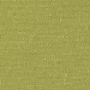 D2804 Kiwi by Charlotte Fabric