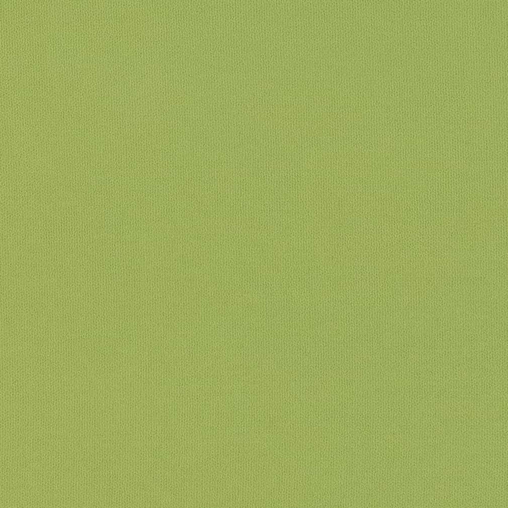 D2819 Lime by Charlotte Fabric Patio Plains 100% Solution Dyed Polyester Asia Exceeds 100,000 Wyzenbeek Rubs </p><p>Repeat: No Repeat 54 Inches - Fabric Carolina -