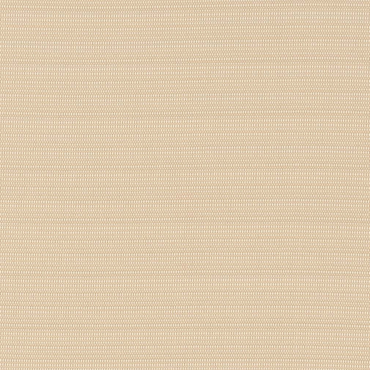 D2830 Almond by Charlotte Fabric Patio Plains 100% Solution Dyed Polypropylene Asia Exceeds 100,000 Wyzenbeek Rubs </p><p>Repeat: 54 Inches - Fabric Carolina -