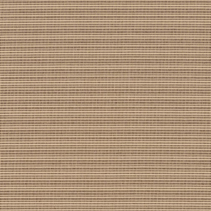 D2837 Latte by Charlotte Fabric Patio Plains 100% Solution Dyed Polypropylene Asia Exceeds 100,000 Wyzenbeek Rubs </p><p>Repeat: No Repeat 54 Inches - Fabric Carolina -