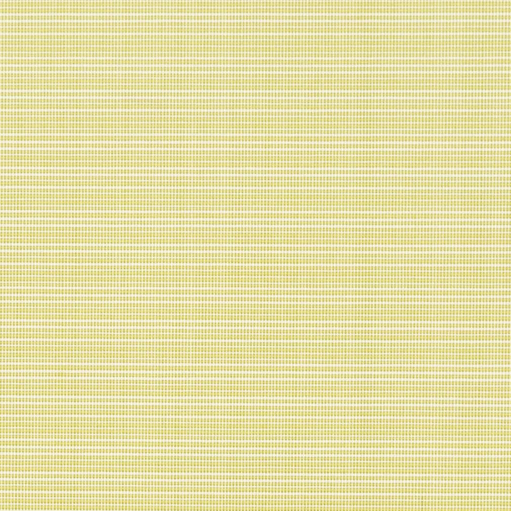 D2838 Citrus by Charlotte Fabric Patio Plains 100% Solution Dyed Polypropylene Asia Exceeds 100,000 Wyzenbeek Rubs </p><p>Repeat: No Repeat 54 Inches - Fabric Carolina -