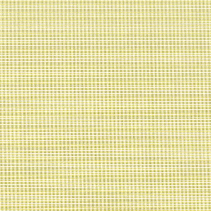 D2838 Citrus by Charlotte Fabric Patio Plains 100% Solution Dyed Polypropylene Asia Exceeds 100,000 Wyzenbeek Rubs </p><p>Repeat: No Repeat 54 Inches - Fabric Carolina -