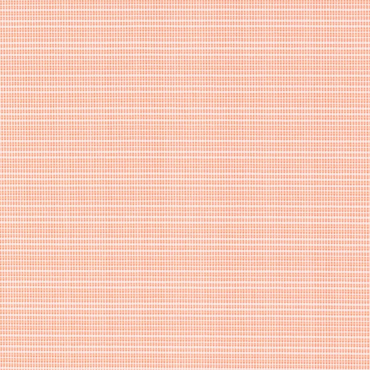 D2840 Salmon by Charlotte Fabric Patio Plains 100% Solution Dyed Polypropylene Asia Exceeds 100,000 Wyzenbeek Rubs </p><p>Repeat: 54 Inches - Fabric Carolina -