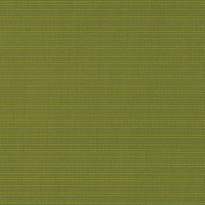 D2844 Grass by Charlotte Fabric Patio Plains 100% Solution Dyed Polypropylene Asia Exceeds 100,000 Wyzenbeek Rubs </p><p>Repeat: 54 Inches - Fabric Carolina -