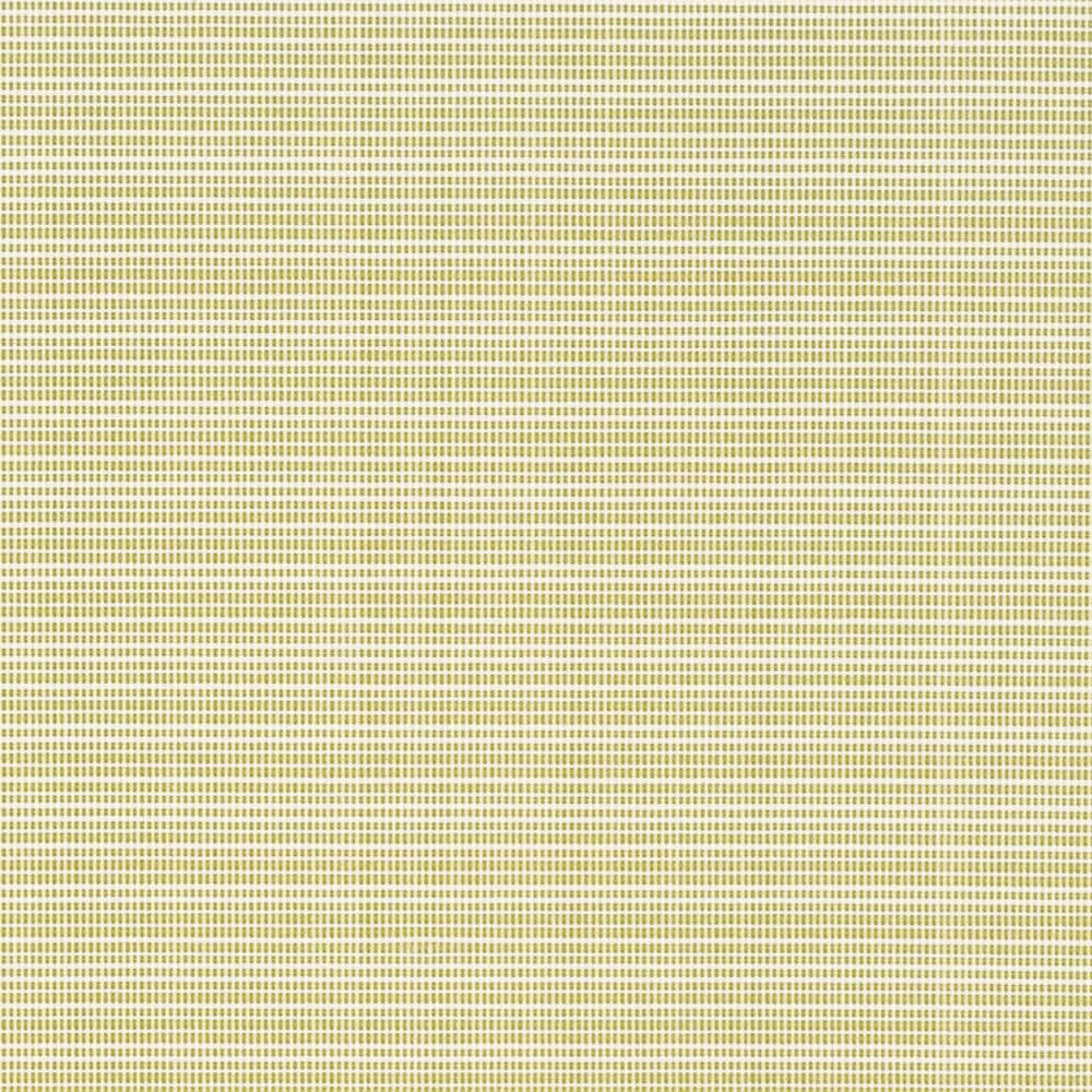 D2846 Avocado by Charlotte Fabric Patio Plains 100% Solution Dyed Polypropylene Asia Exceeds 100,000 Wyzenbeek Rubs </p><p>Repeat: No Repeat 54 Inches - Fabric Carolina -
