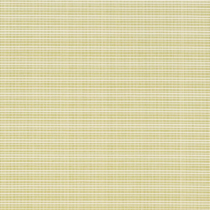 D2846 Avocado by Charlotte Fabric Patio Plains 100% Solution Dyed Polypropylene Asia Exceeds 100,000 Wyzenbeek Rubs </p><p>Repeat: No Repeat 54 Inches - Fabric Carolina -