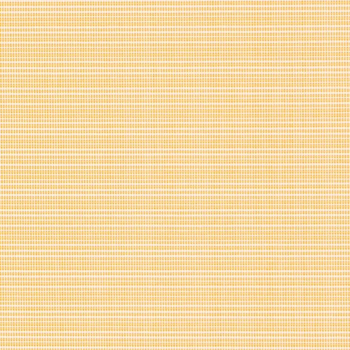 D2847 Lemon by Charlotte Fabric Patio Plains 100% Solution Dyed Polypropylene Asia Exceeds 100,000 Wyzenbeek Rubs </p><p>Repeat: 54 Inches - Fabric Carolina -