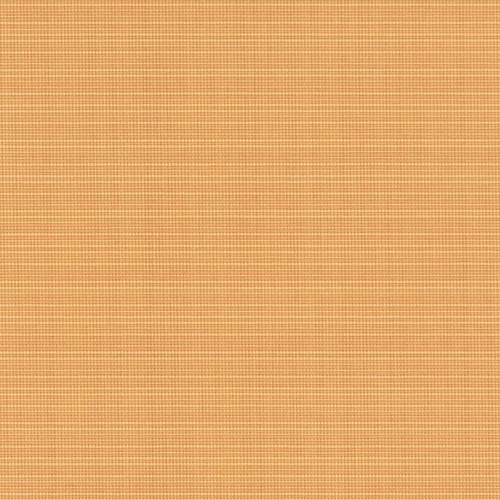 D2856 Straw by Charlotte Fabric Patio Plains 100% Solution Dyed Polypropylene Asia Exceeds 100,000 Wyzenbeek Rubs </p><p>Repeat: 54 Inches - Fabric Carolina -