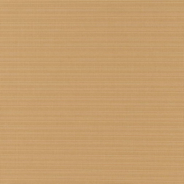 D2858 Hazelnut by Charlotte Fabric Patio Plains 100% Solution Dyed Polypropylene Asia Exceeds 100,000 Wyzenbeek Rubs </p><p>Repeat: 54 Inches - Fabric Carolina -
