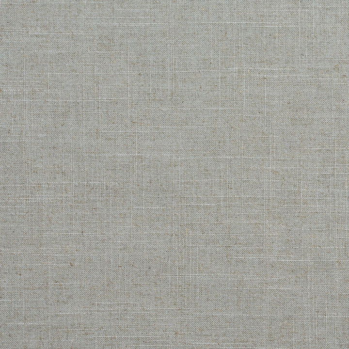 D286 Moonstone by Charlotte Fabric Lifestyle Linens 55% Linen, 45% Rayon Made In USA Exceeds 30,000 Wyzenbeek Rubs (Heavy Duty) No Repeat 54 Inches - Fabric Carolina -