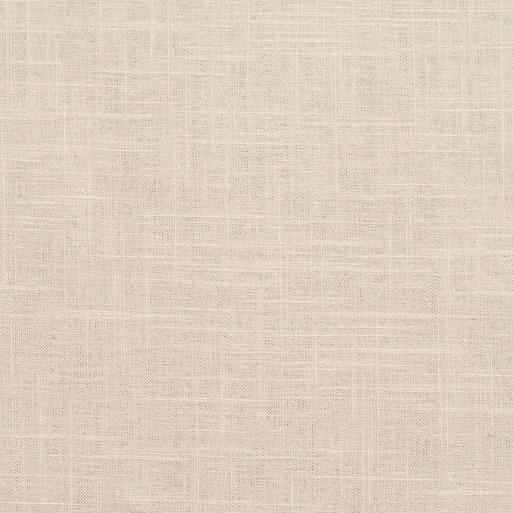D291 Alabaster by Charlotte Designer Fabric Lifestyle Linens 55% Linen, 45% Rayon Made In USA Exceeds 30,000 Wyzenbeek Rubs (Heavy Duty) No Repeat 54 Inches - Swanky Fabrics -