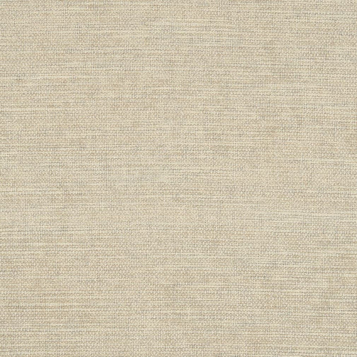 D2969 Bone by Charlotte Fabric Chenille III 100% Polyester Asia Exceeds 30,000 Wyzenbeek Rubs (Heavy Duty) </p><p>Repeat: No Repeat 54 Inches - Fabric Carolina -