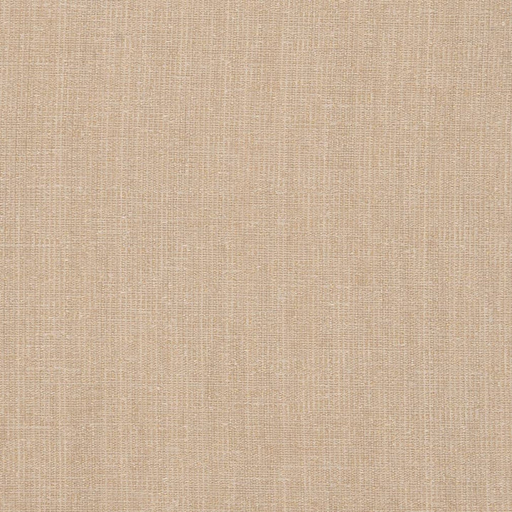 D2978 Beige by Charlotte Designer Fabric Chenille III 100% Polyester Asia Exceeds 60,000 Wyzenbeek Rubs (Heavy Duty) </p><p>Repeat: No Repeat 54 Inches - Swanky Fabrics -