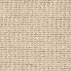D2987 Putty by Charlotte Fabric