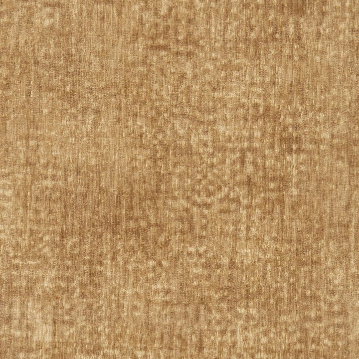 D3001 Camel by Charlotte Designer Fabric Chenille III 100% Polyester Asia Exceeds 30,000 Wyzenbeek Rubs (Heavy Duty) </p><p>Repeat: No Repeat 54 Inches - Swanky Fabrics -