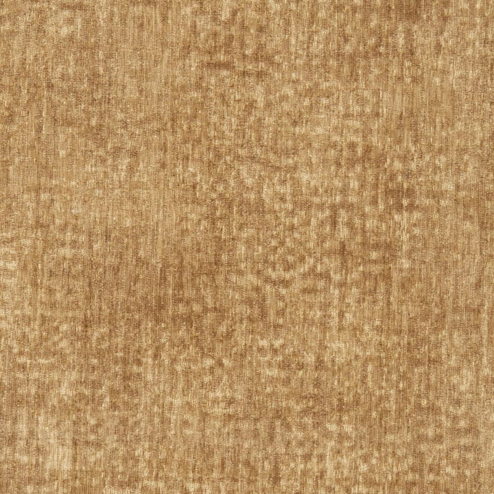 D3001 Camel by Charlotte Fabric Chenille III 100% Polyester Asia Exceeds 30,000 Wyzenbeek Rubs (Heavy Duty) </p><p>Repeat: No Repeat 54 Inches - Fabric Carolina -