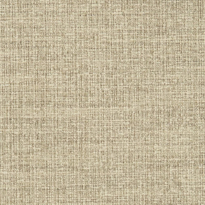 D3013 Oatmeal by Charlotte Fabric Chenille III 100% Polyester Asia Exceeds 30,000 Wyzenbeek Rubs (Heavy Duty) </p><p>Repeat: No Repeat 54 Inches - Fabric Carolina -