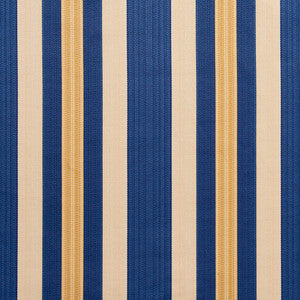 D301 Regal Noble Stripe by Charlotte Fabric