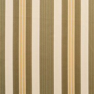 D303 Juniper Noble Stripe by Charlotte Fabric