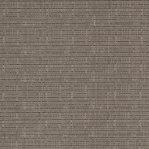 D3081 Gun Metal by Charlotte Fabric