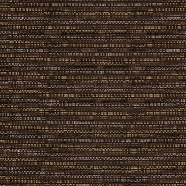 D3085 Praline by Charlotte Fabric Durables IV 67% Olefin, 33% Polyester Made In USA Exceeds 100,000 Wyzenbeek Rubs (Heavy Duty) </p><p>Repeat: No Repeat 54 Inches - Fabric Carolina -