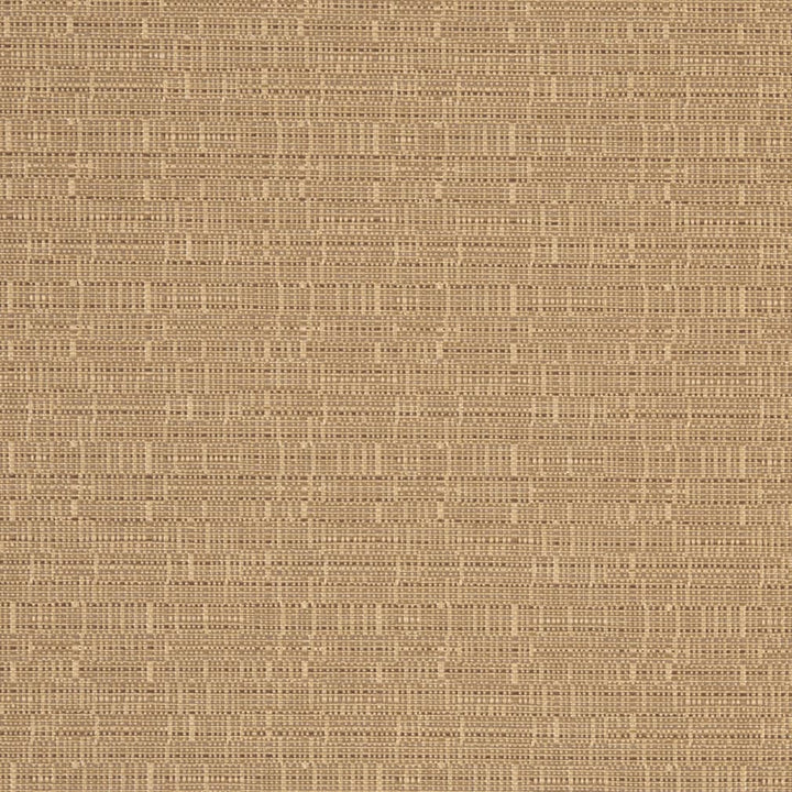D3088 Sand by Charlotte Fabric Durables IV 67% Olefin, 33% Polyester Made In USA Exceeds 100,000 Wyzenbeek Rubs (Heavy Duty) </p><p>Repeat: No Repeat 54 Inches - Fabric Carolina -