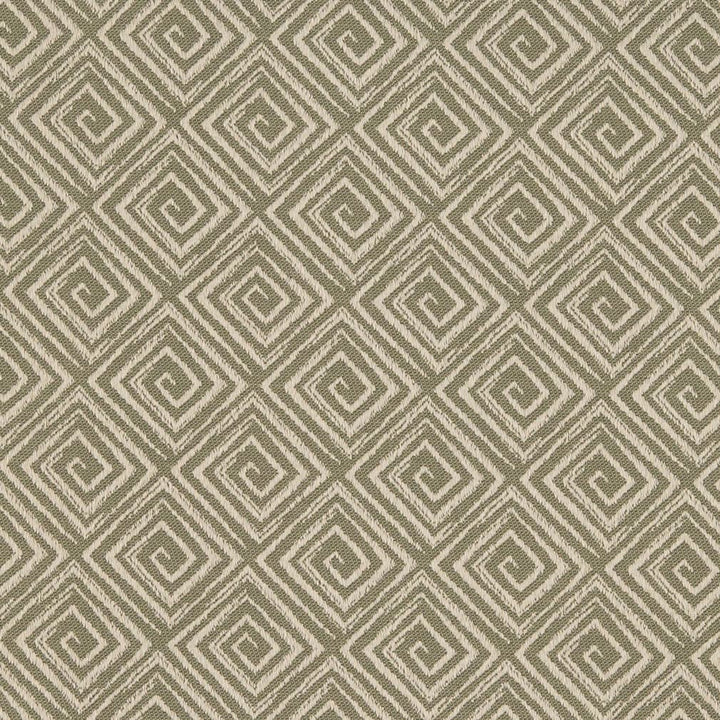 D3174 Sprout by Charlotte Designer Fabric Durables IV 100% Polyester Made In USA Exceeds 20,0000 Wyzenbeek Rubs (Heavy Duty) </p><p>Repeat: Horizontal 3" x Vertical 3" 54 Inches - Swanky Fabrics -