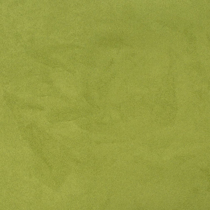 D3208 Pear by Charlotte Fabric Microsuede II 100% Polyester Asia Exceeds 20,0000 Wyzenbeek Rubs (Heavy Duty) </p><p>Repeat: No Repeat 54 Inches - Fabric Carolina -