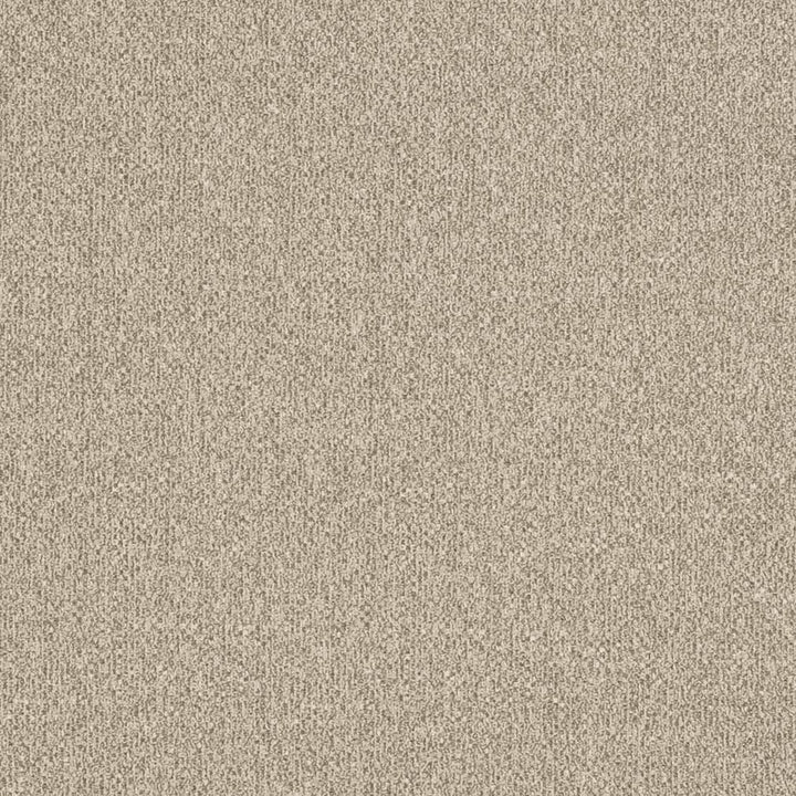 D3241 by Charlotte Fabric Old World Classics II 100% Polyester Spain Exceeds 42,000 Wyzenbeek Rubs (Heavy Duty) No Repeat 54 Inches - Fabric Carolina -